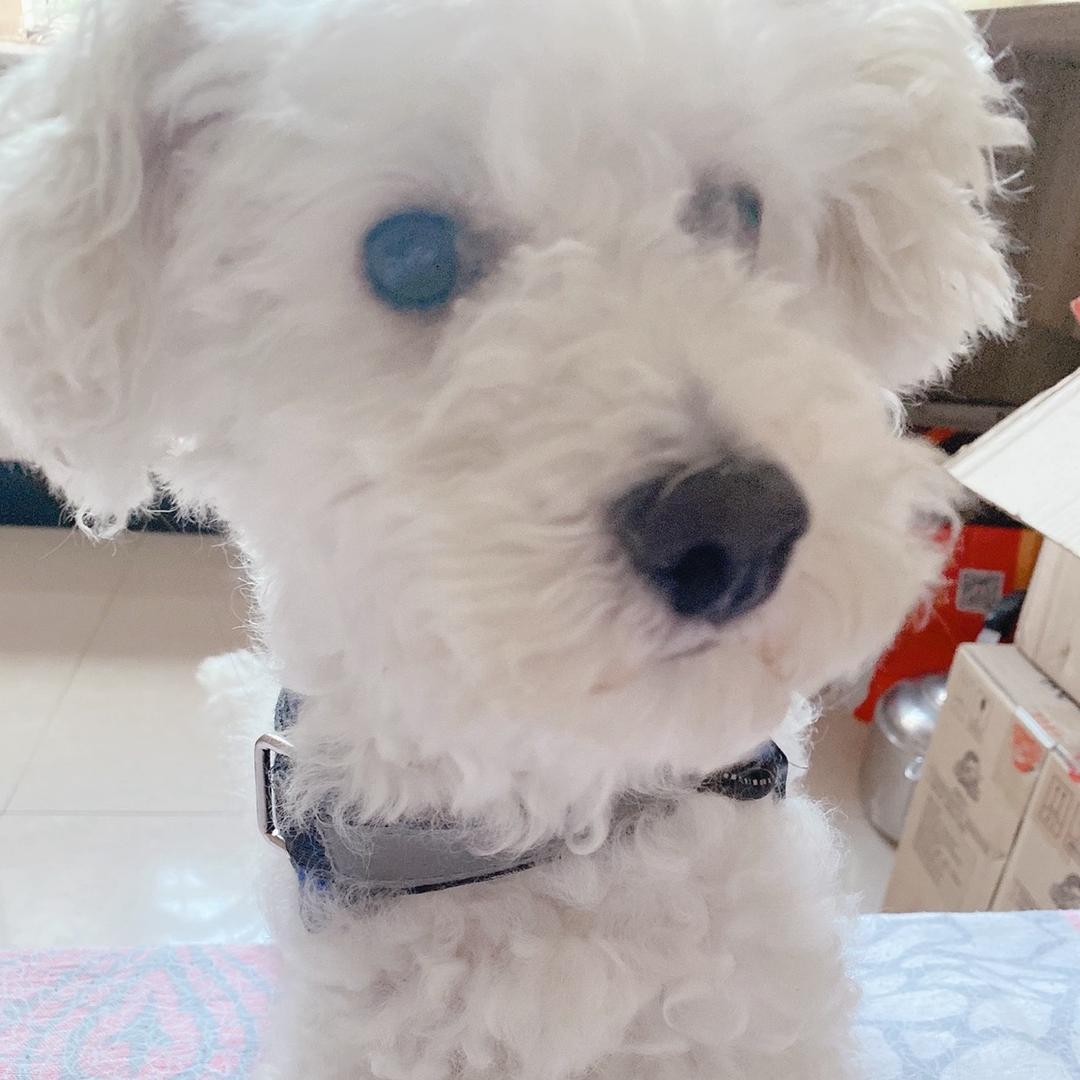 杨小芳
