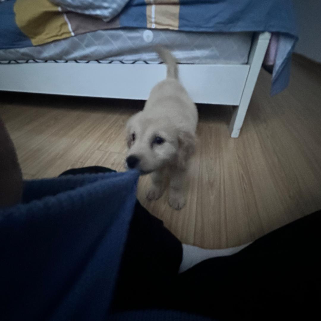二五