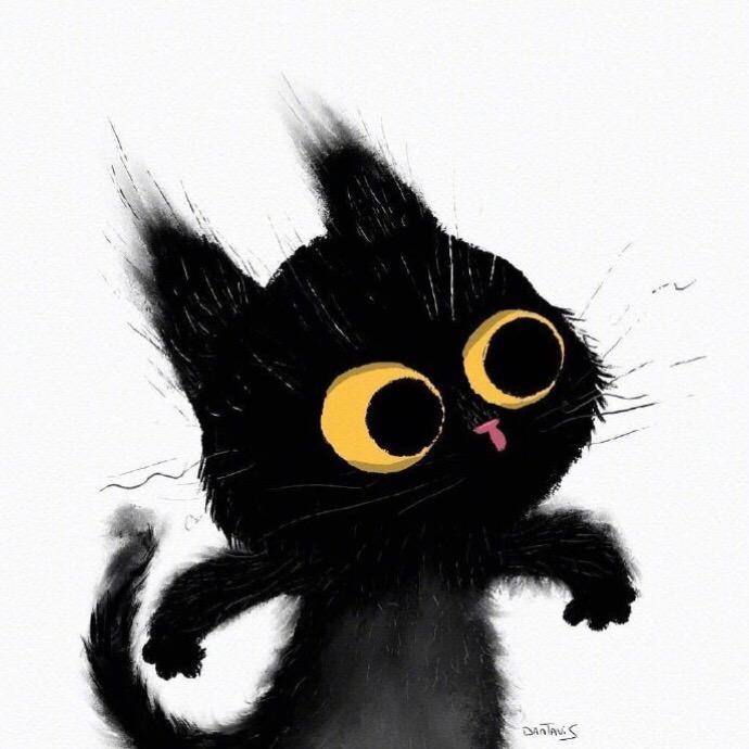 冬菇是一只猫