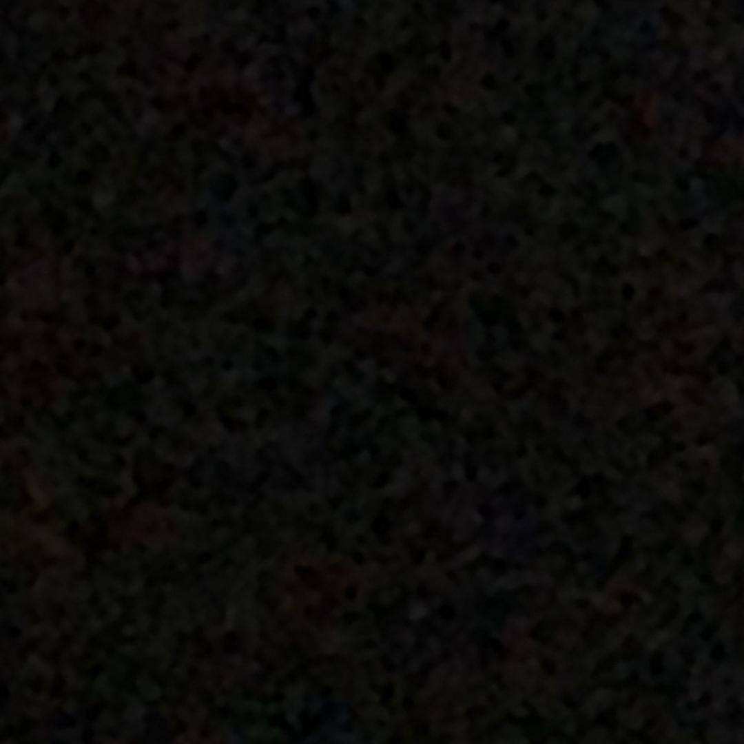 17先生.