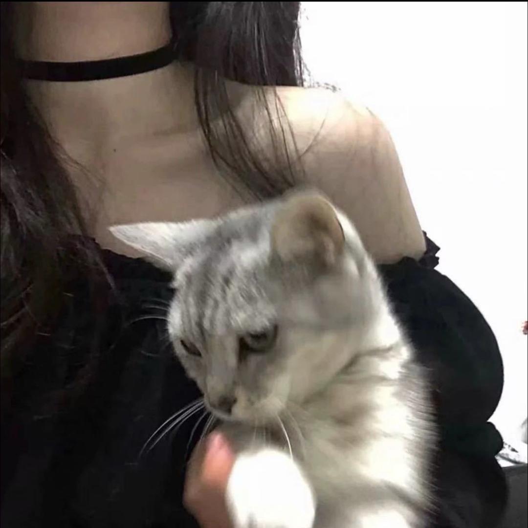 每天都好困'