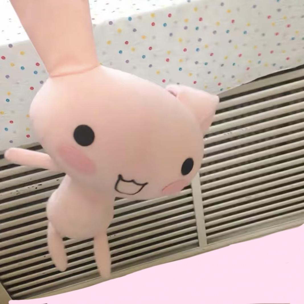 狗卷大王