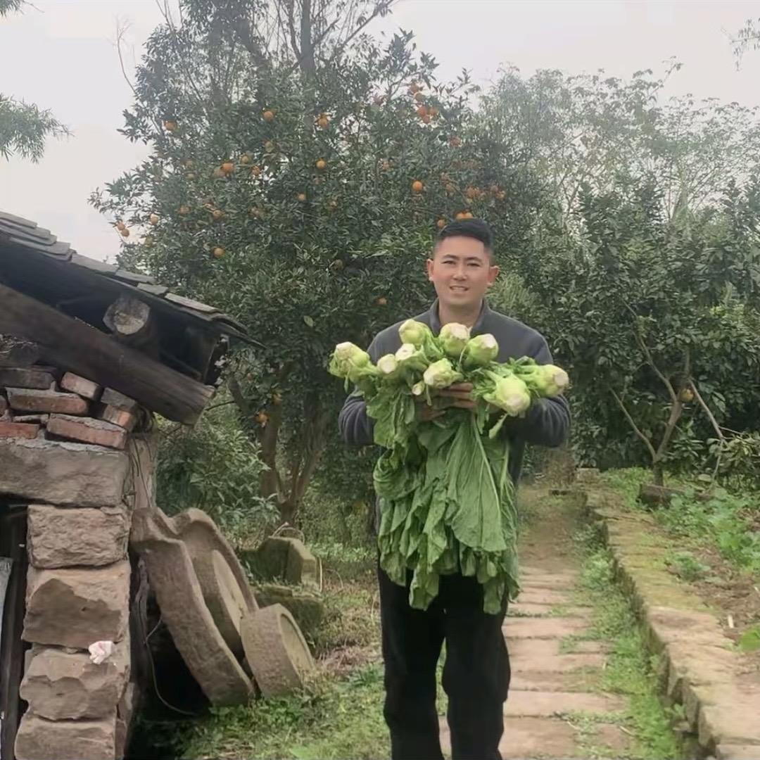 小张乡村农产品