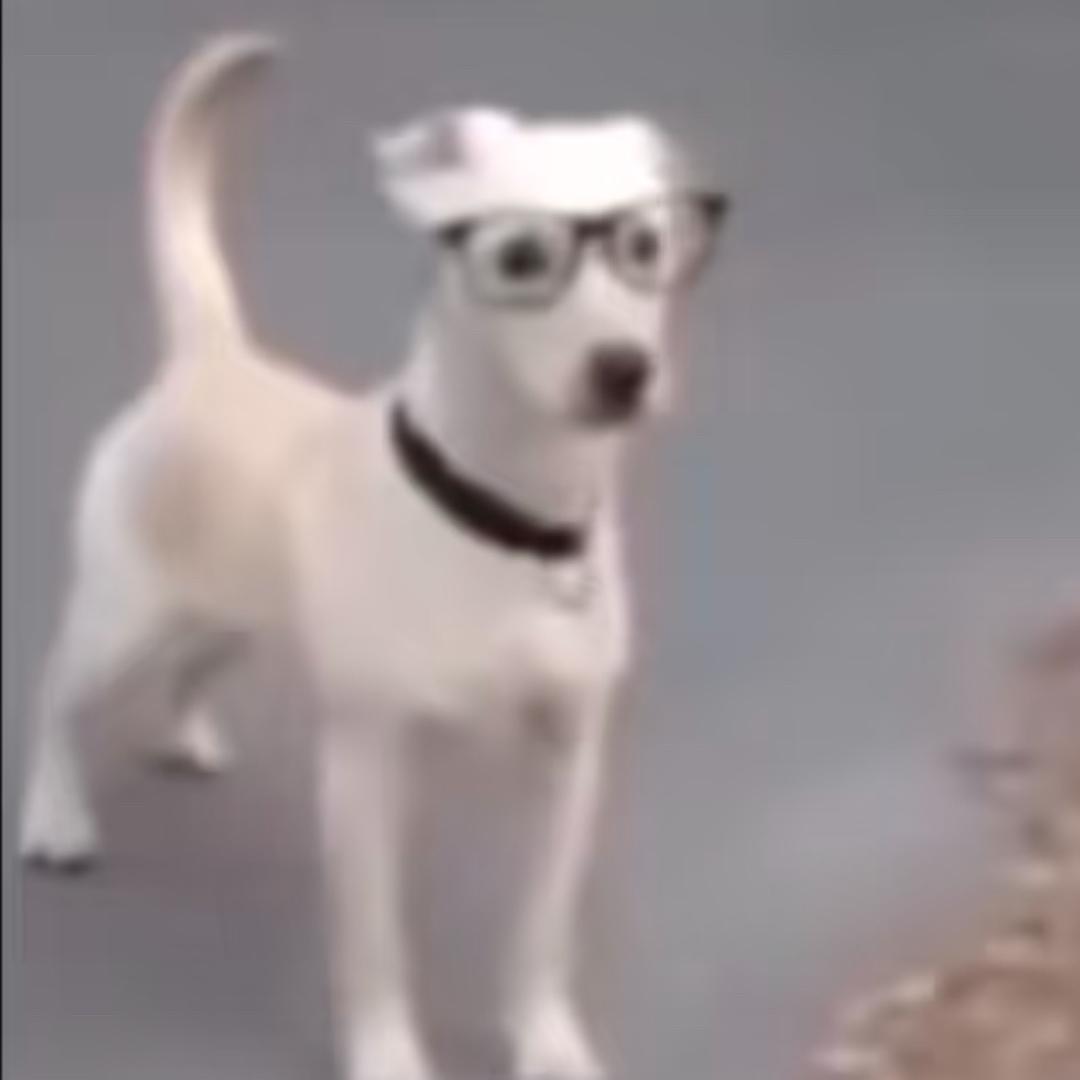 绒茸香波