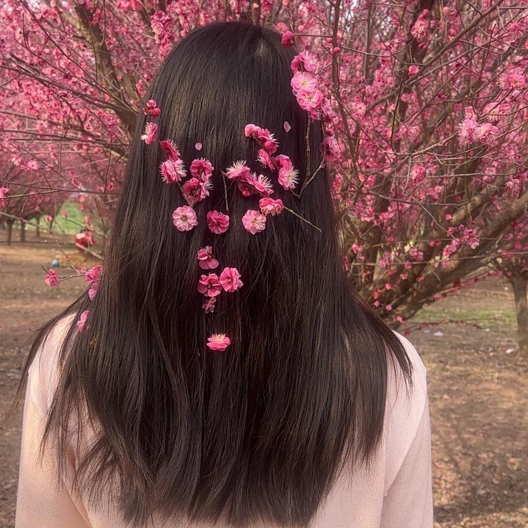 小丑🤡