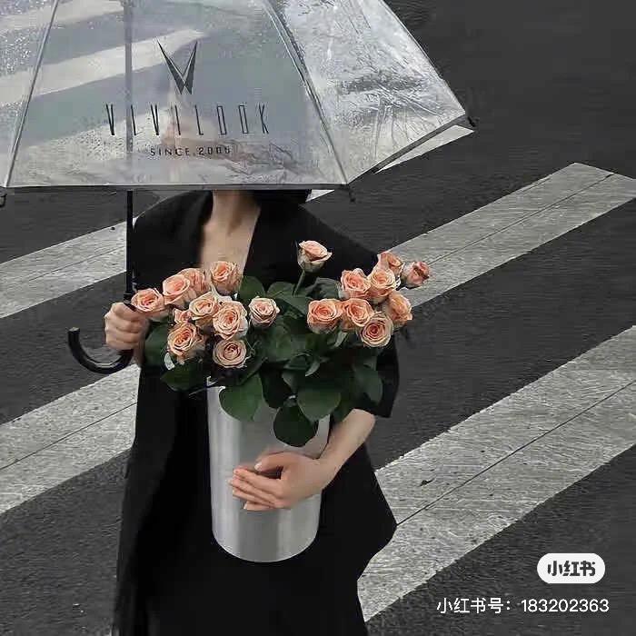 慧哥