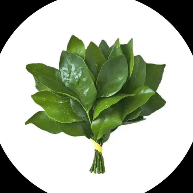 人间富贵花