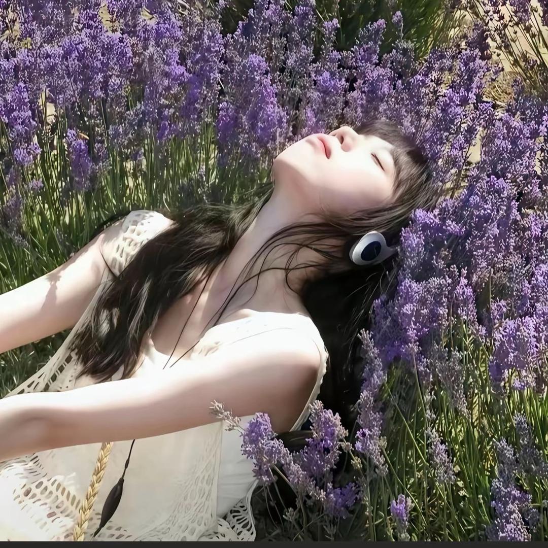 紫微（圣诞版）🎄