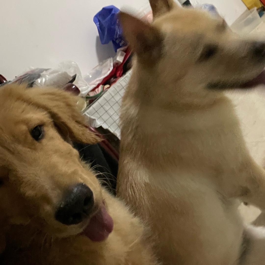 刀R奕🧚🏻‍♀️