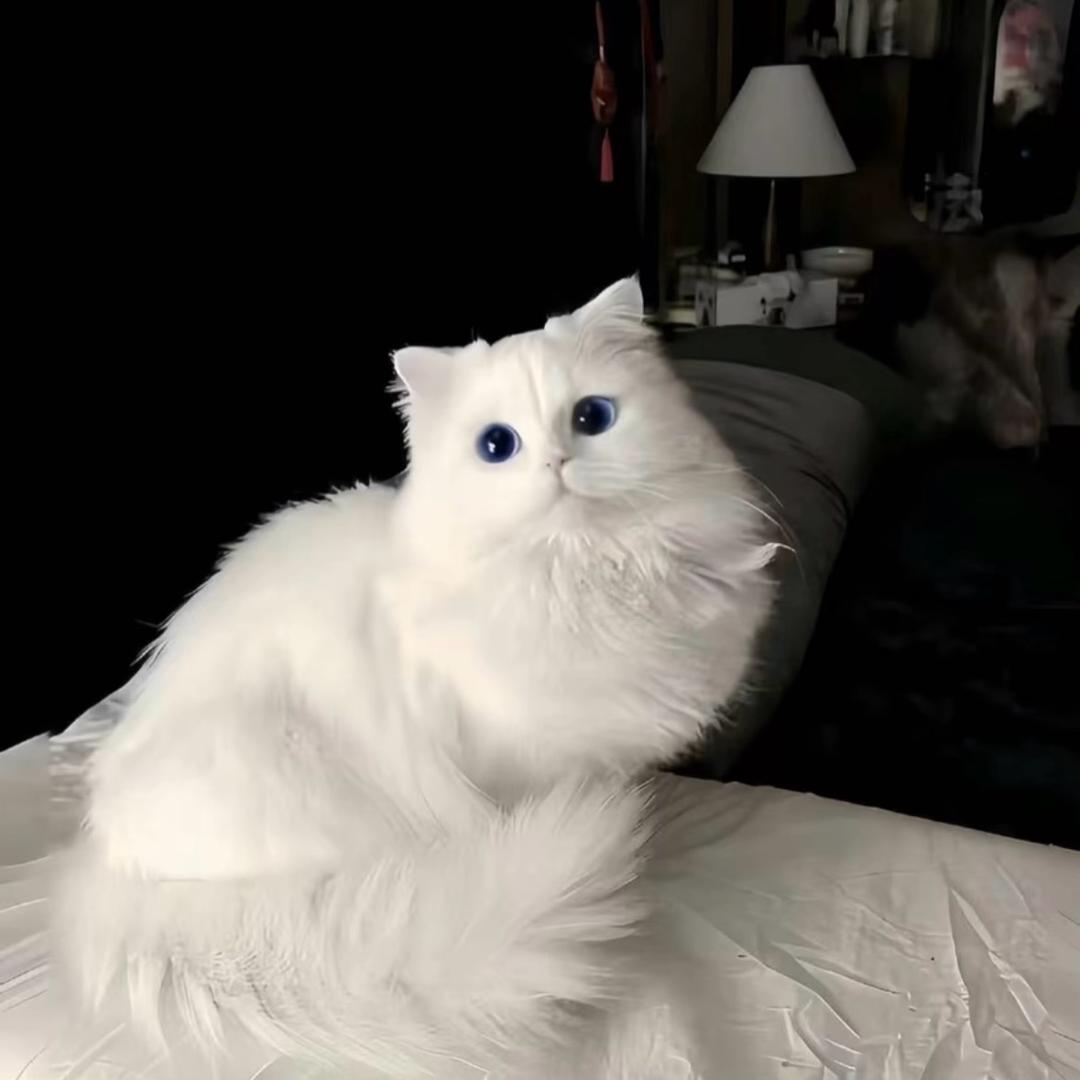 Gao.