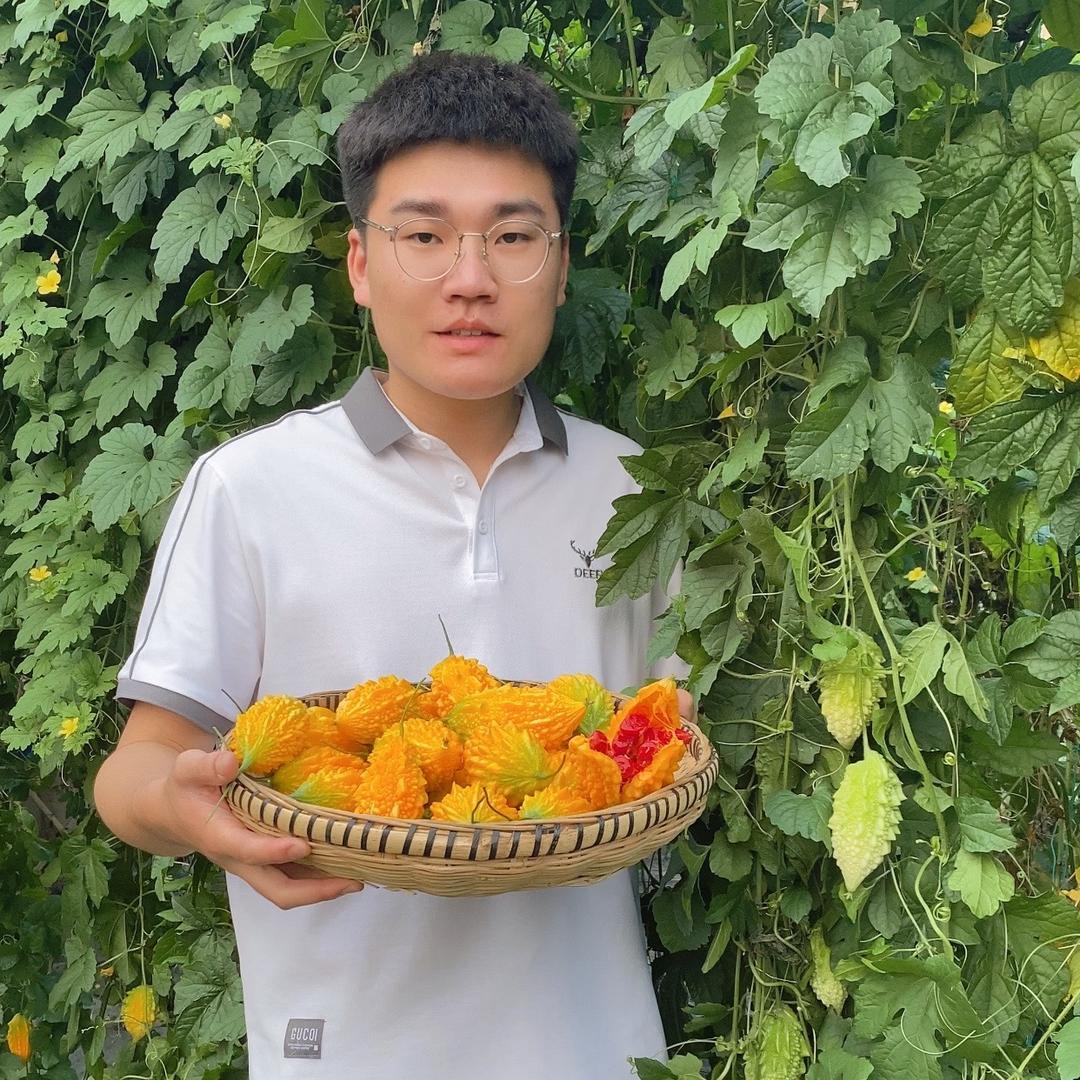 小龙爱种菜