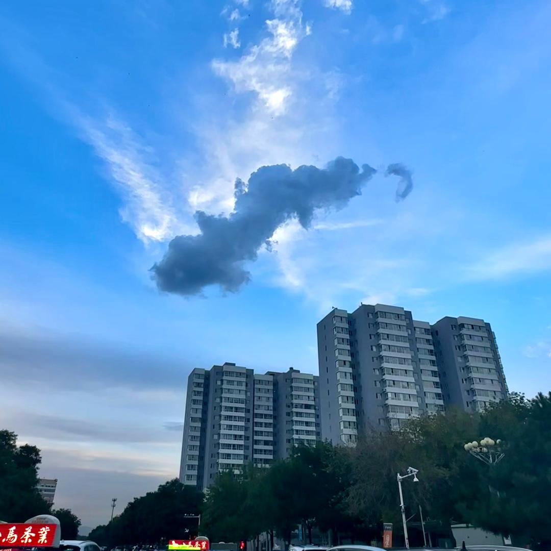 _夏