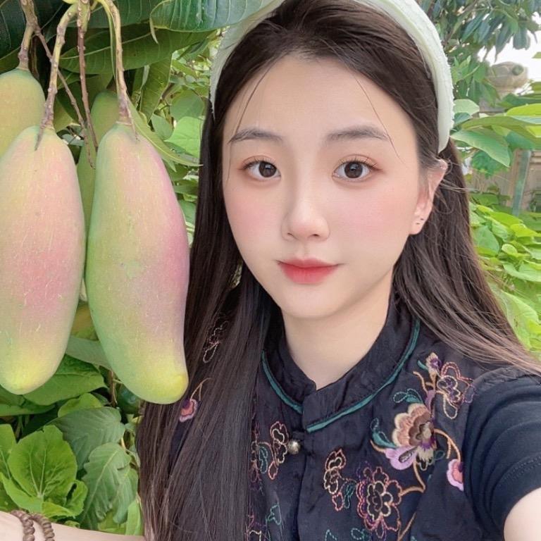 欣芯山货