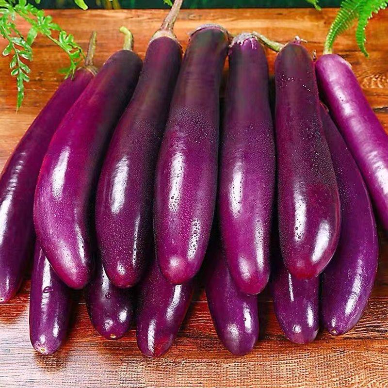 村里的希望青年