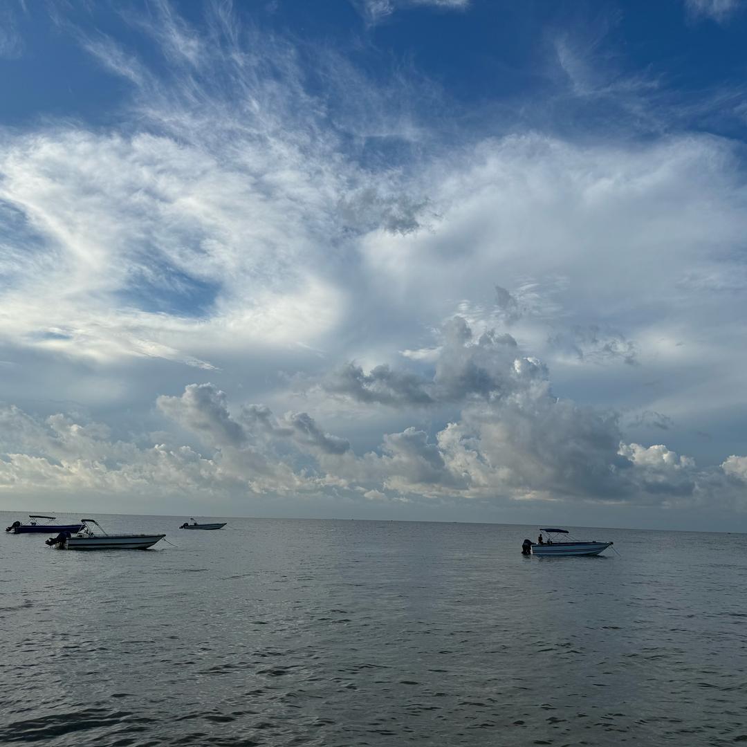 🇨🇳绝境逢生🇨🇳