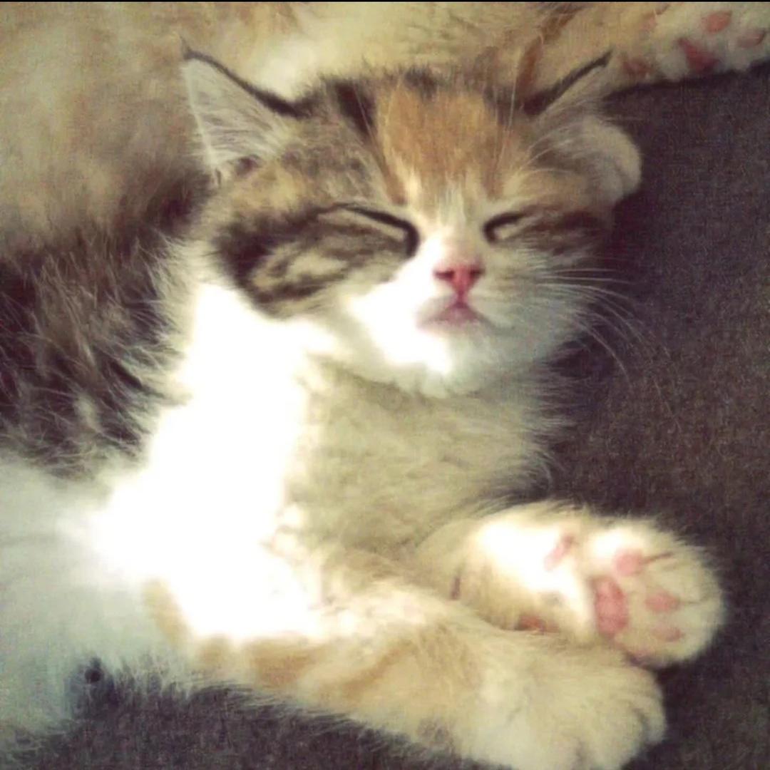 那怎么办啊宝宝