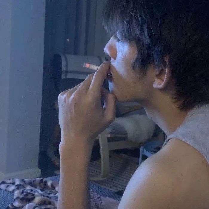 影树