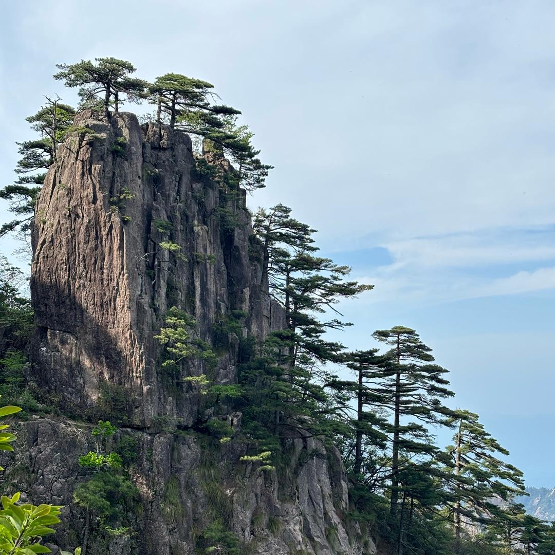 豆嘞个豆