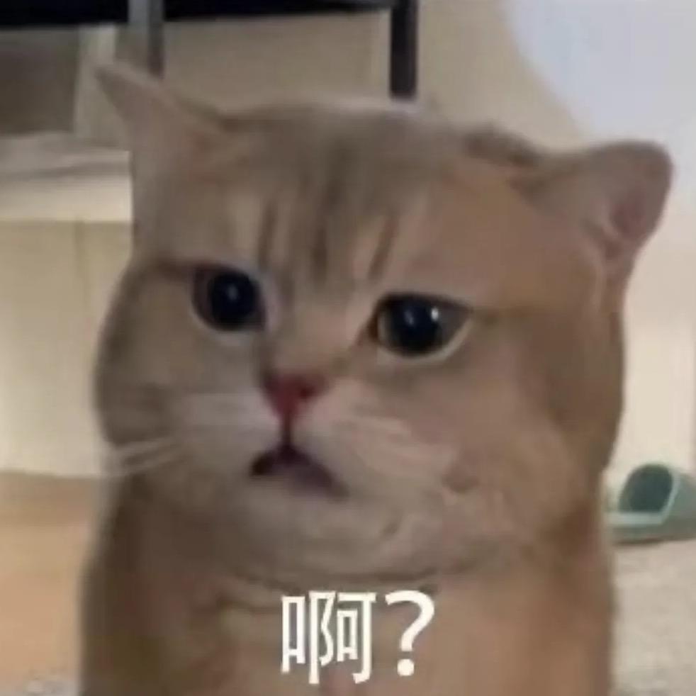 摆烂小猫
