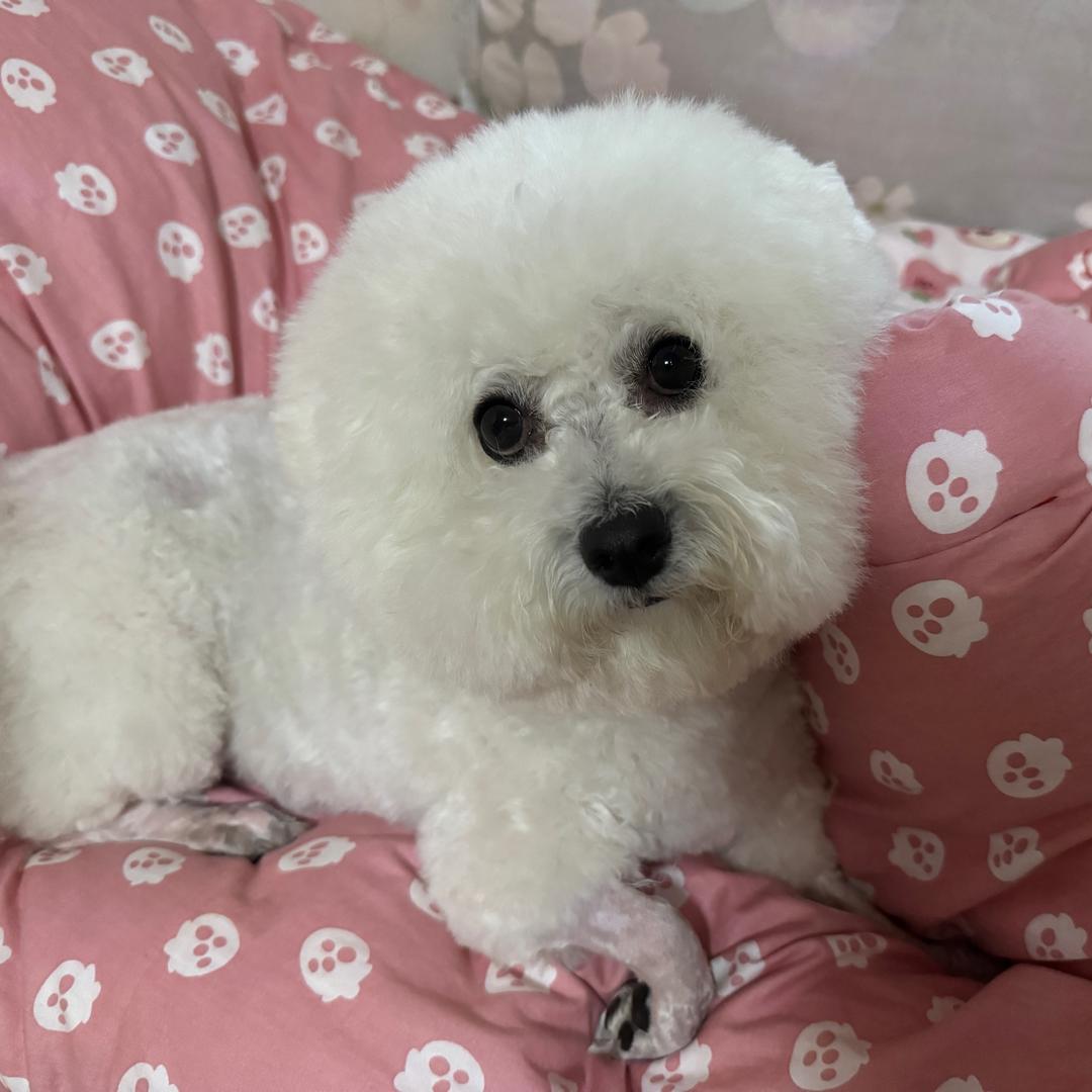 🌈🌈发财咸鱼