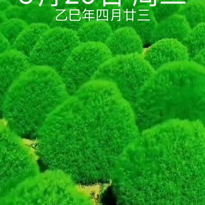一