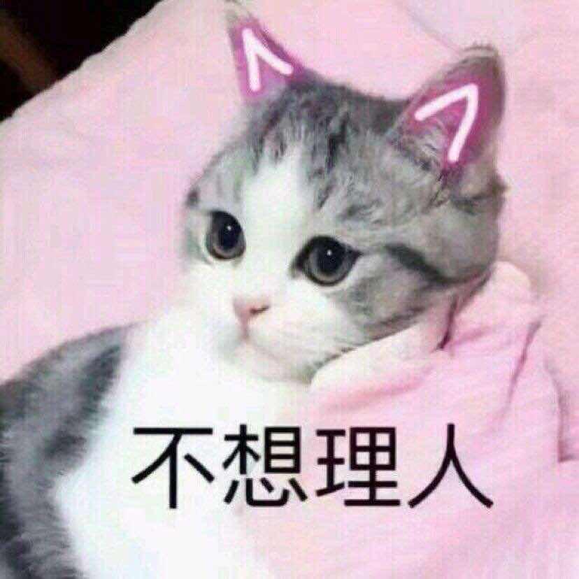 做餐饮的年轻人