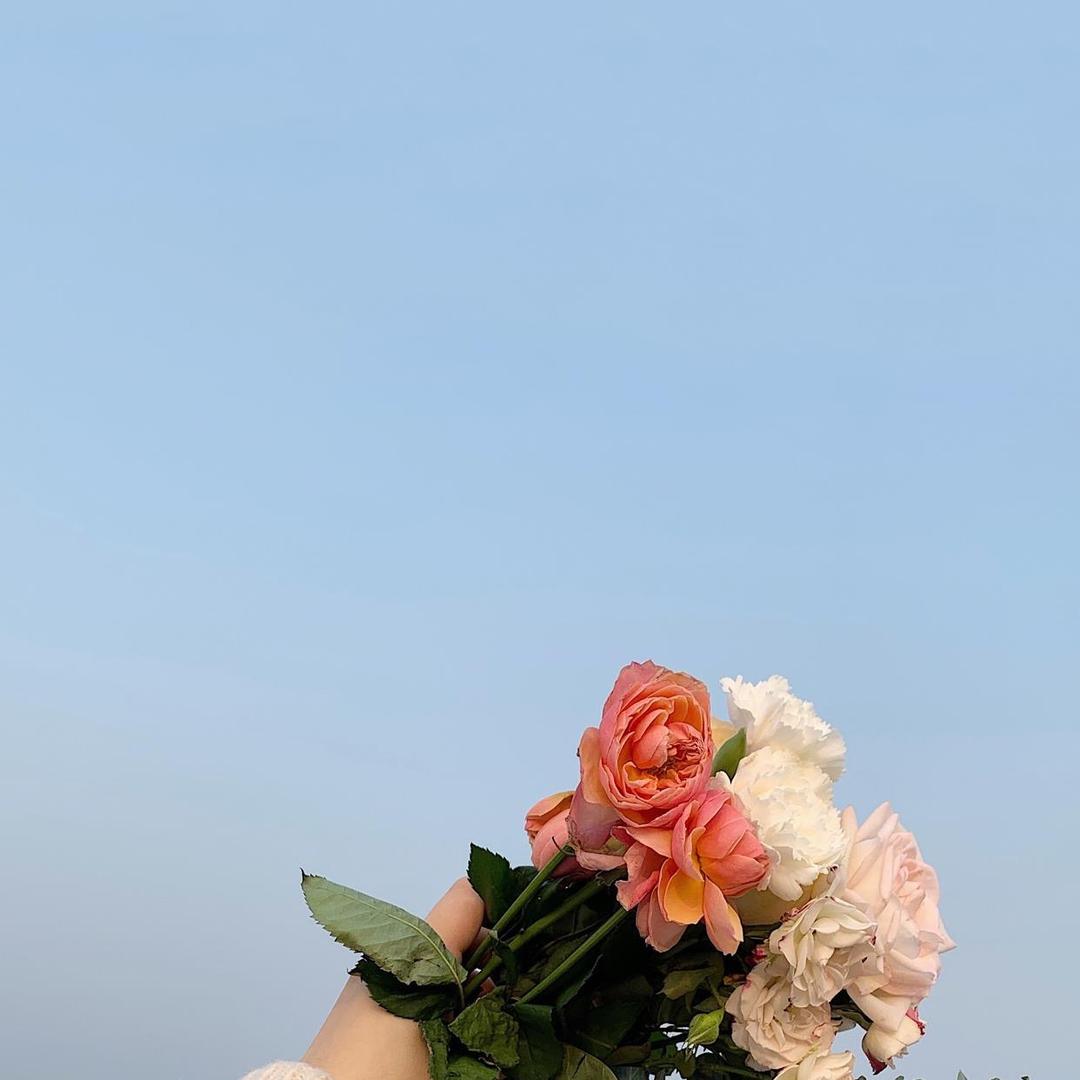 诡计多端的鲨鱼辣椒