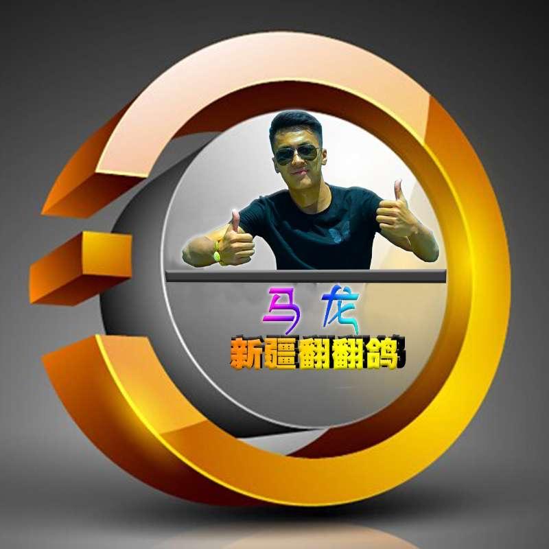 新疆翻翻马龙