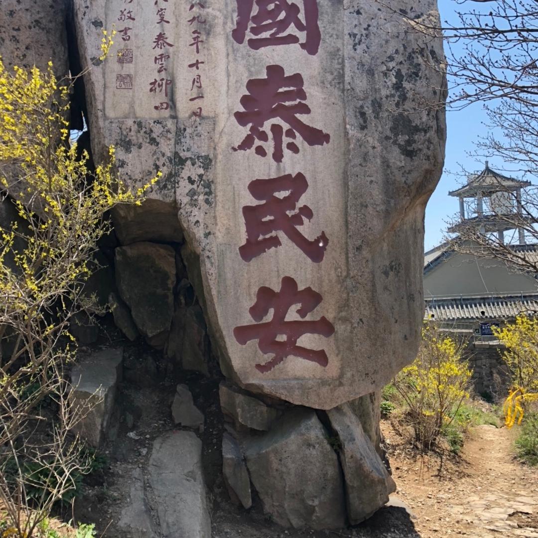 周口市鑫胜运输有限公司—-单耿