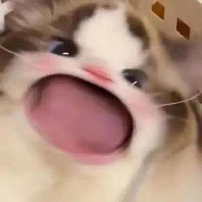 午了个睡