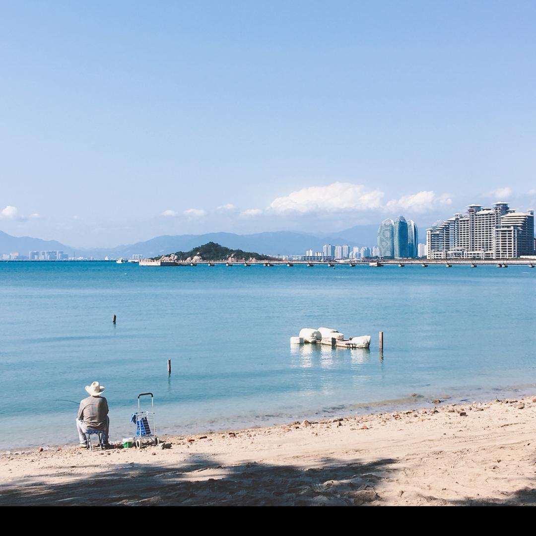 星河浮游🦈