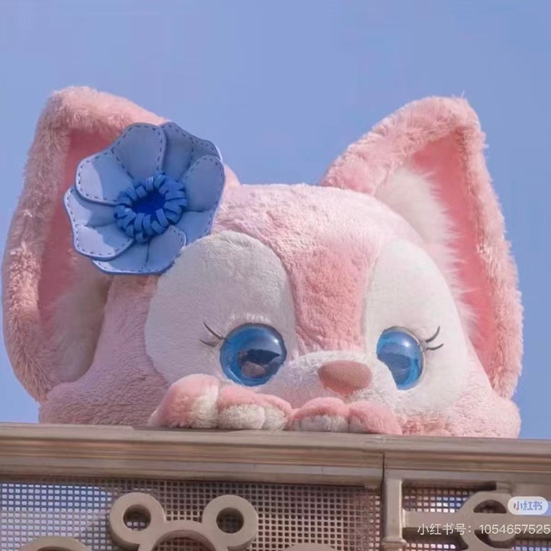 奔奔王国-兔斯基