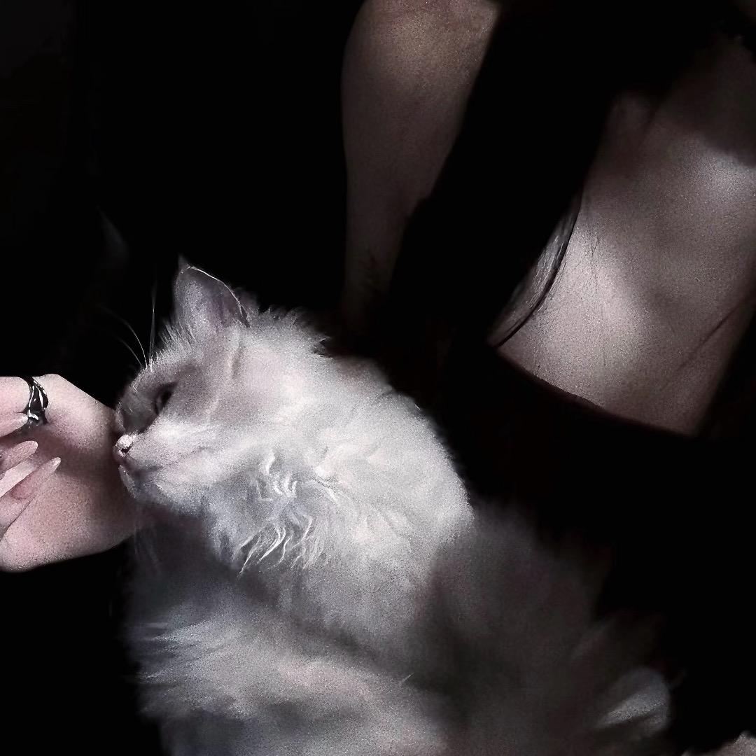 ྉ宝贝宝贝乖🐬