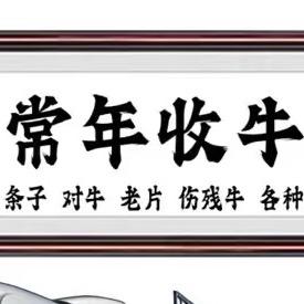 牛人小陈