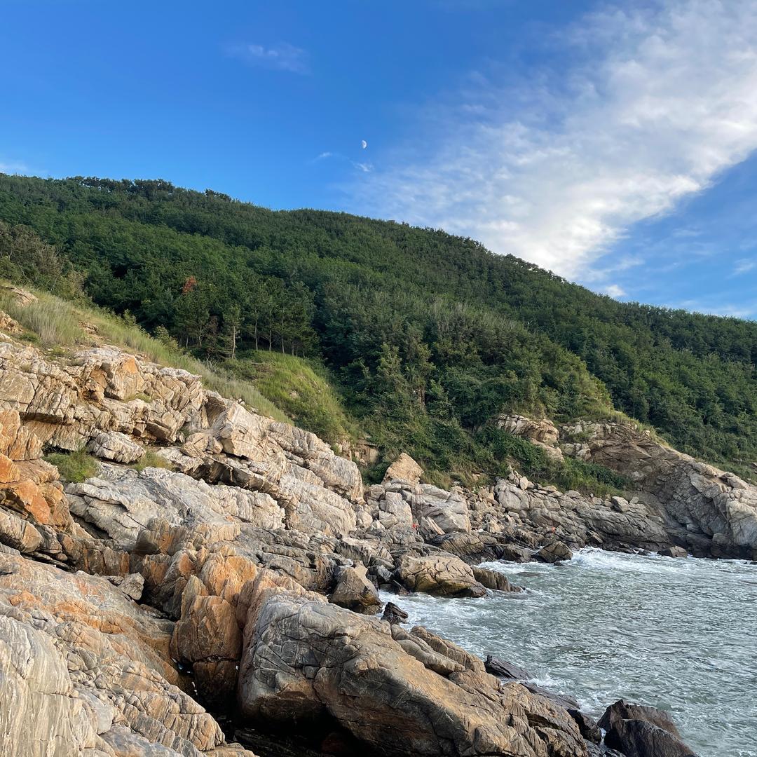 乳山生蚝流通精