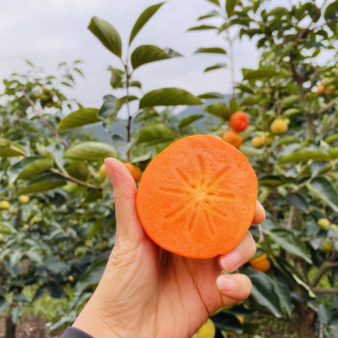 绿芯甜铺