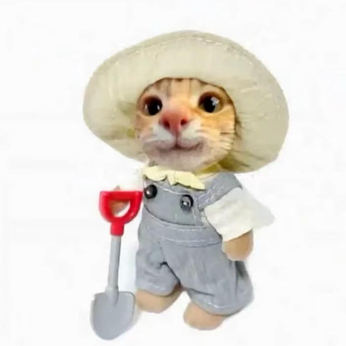 ㅤ ㅤㅤ ㅤㅤ ㅤㅤ ㅤㅤ ㅤㅤ ㅤ