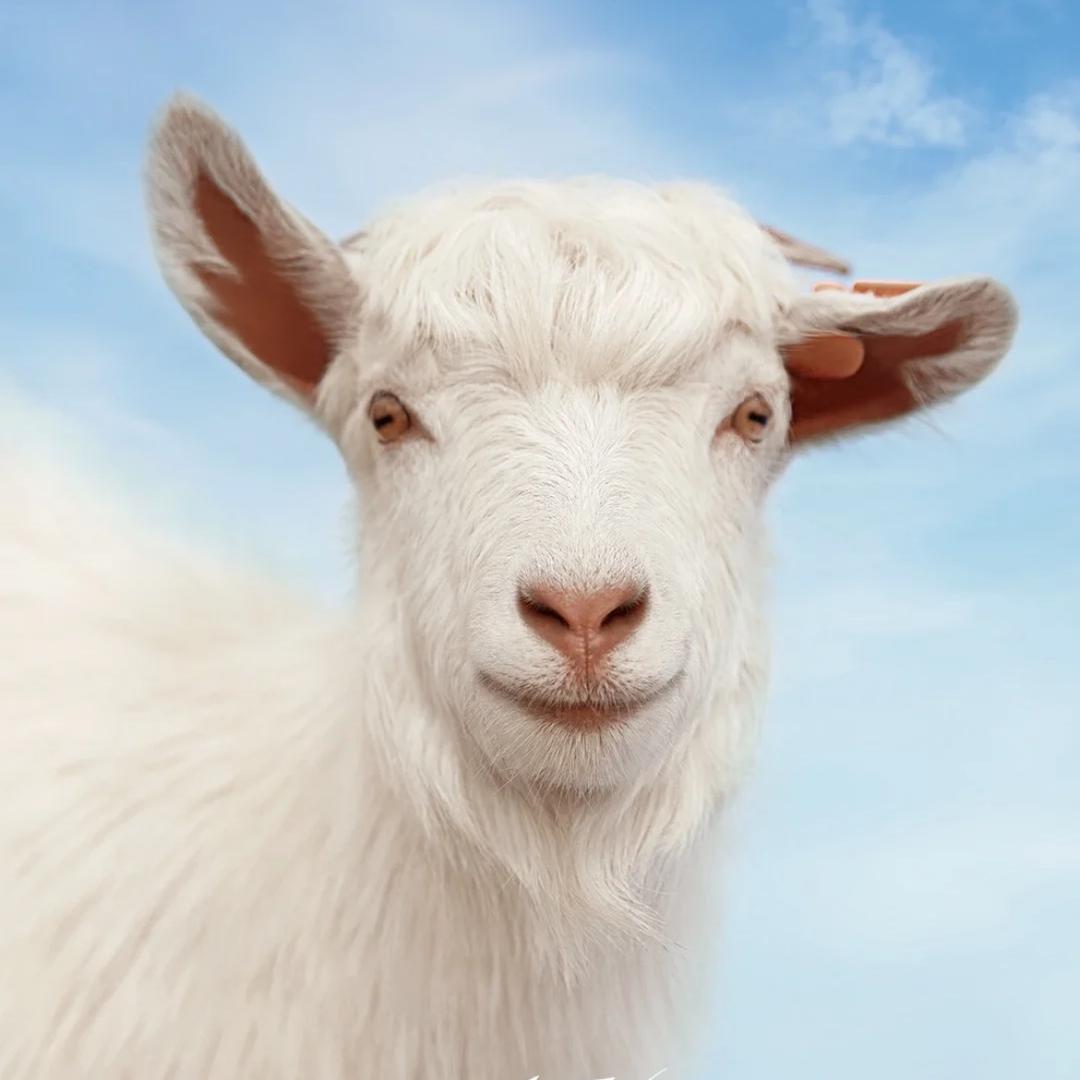 居委会王阿姨🏋🏻