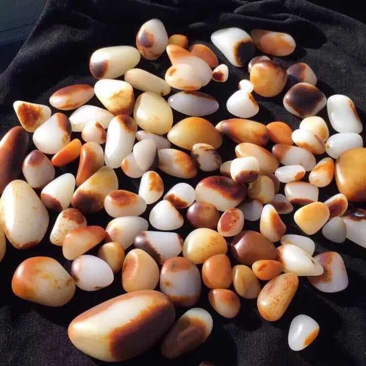 七七籽玉6