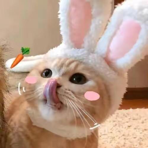 朵儿精选