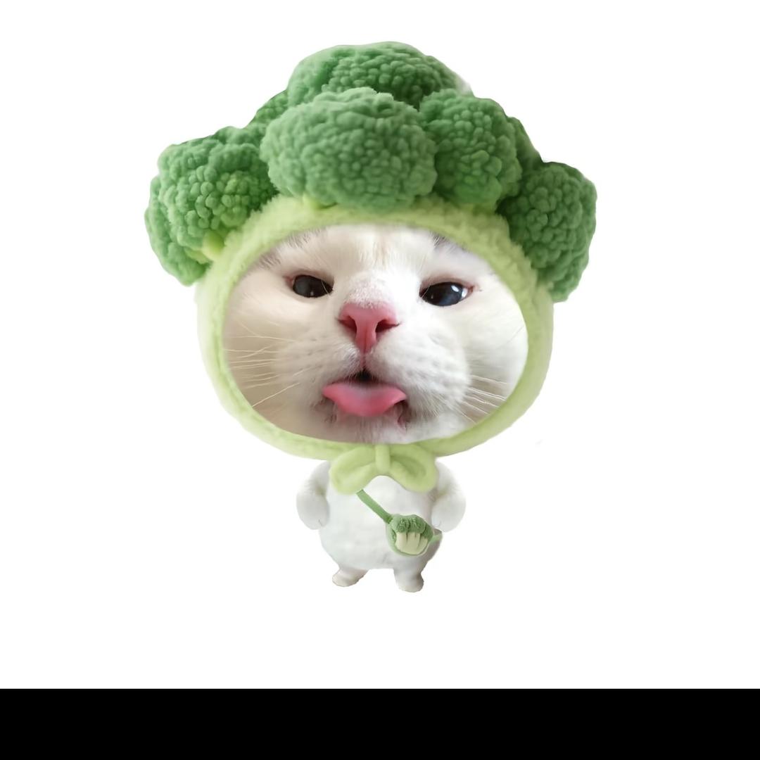 为什么有遗憾呢