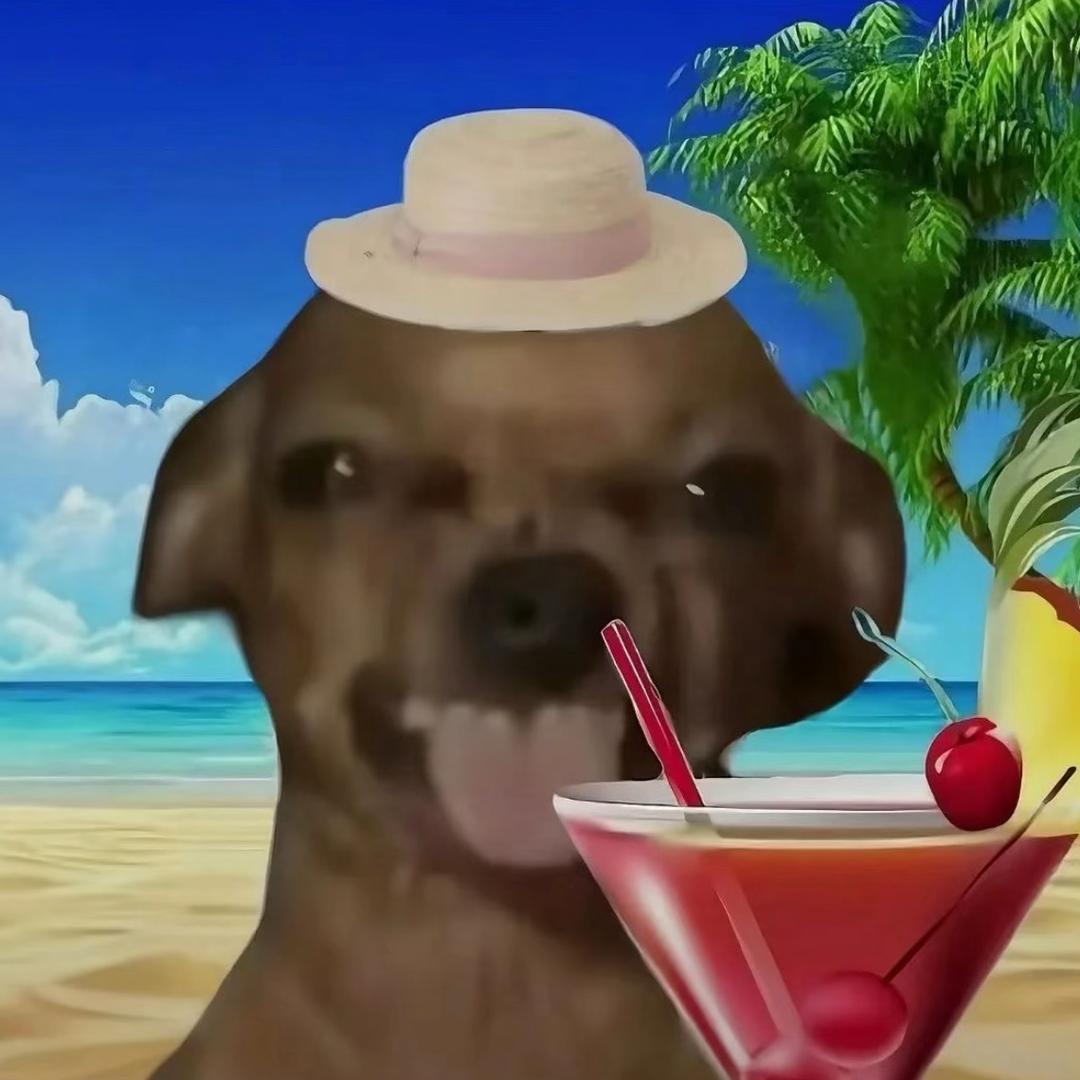 不失恋小🐶