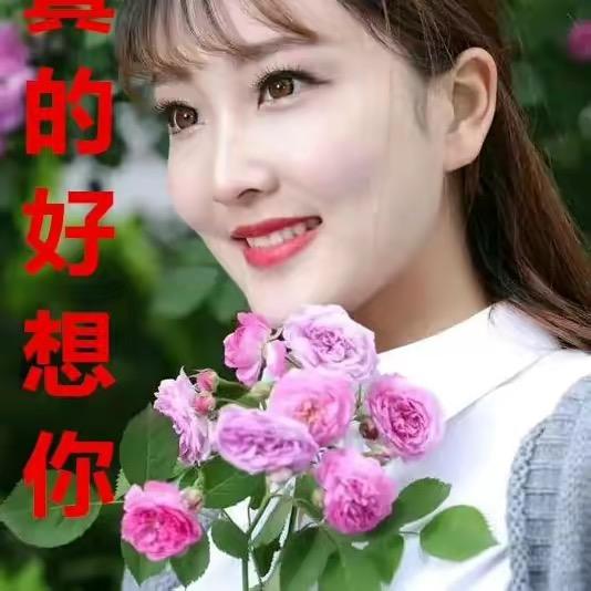 ☔️最美的回忆🌷🌺