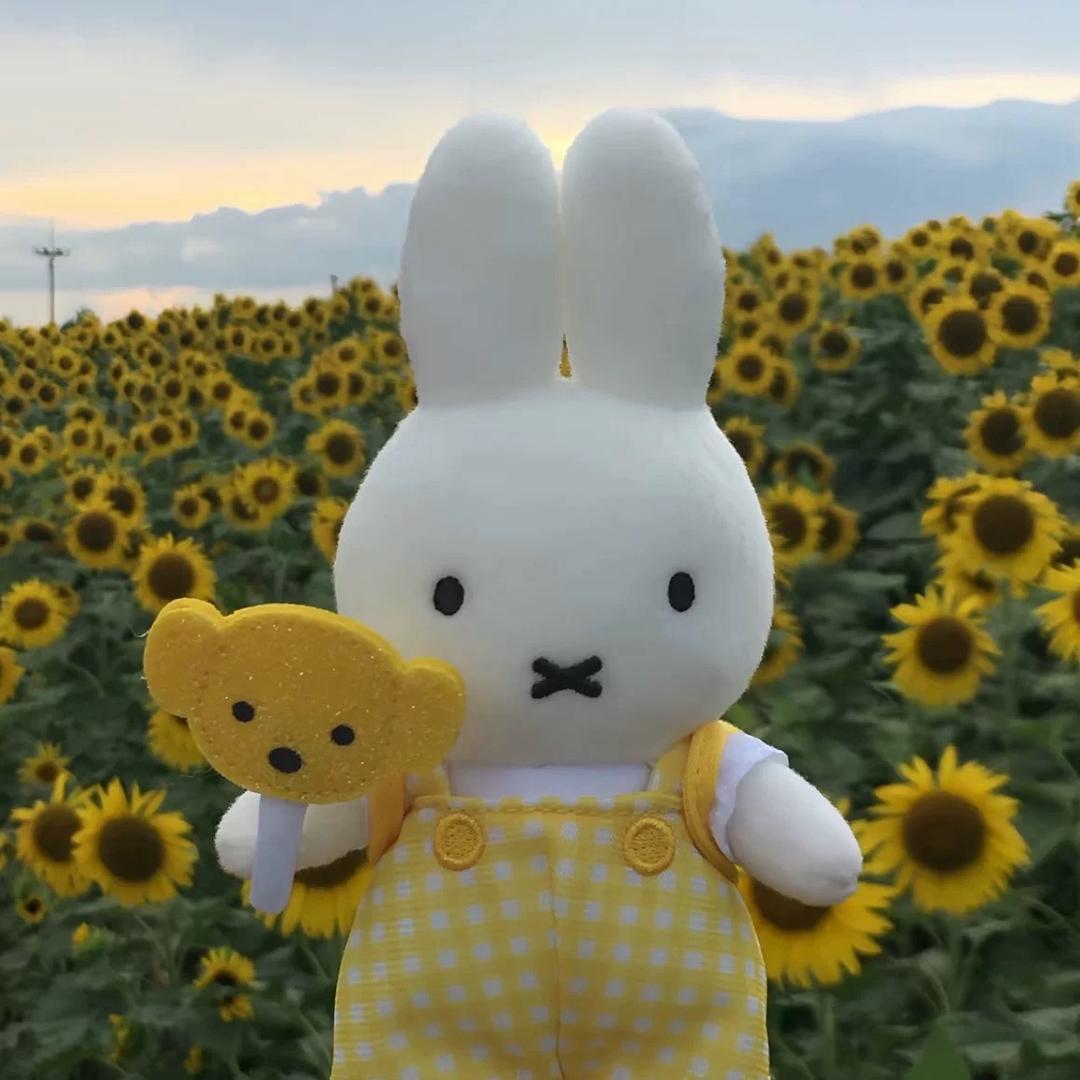椰汁儿