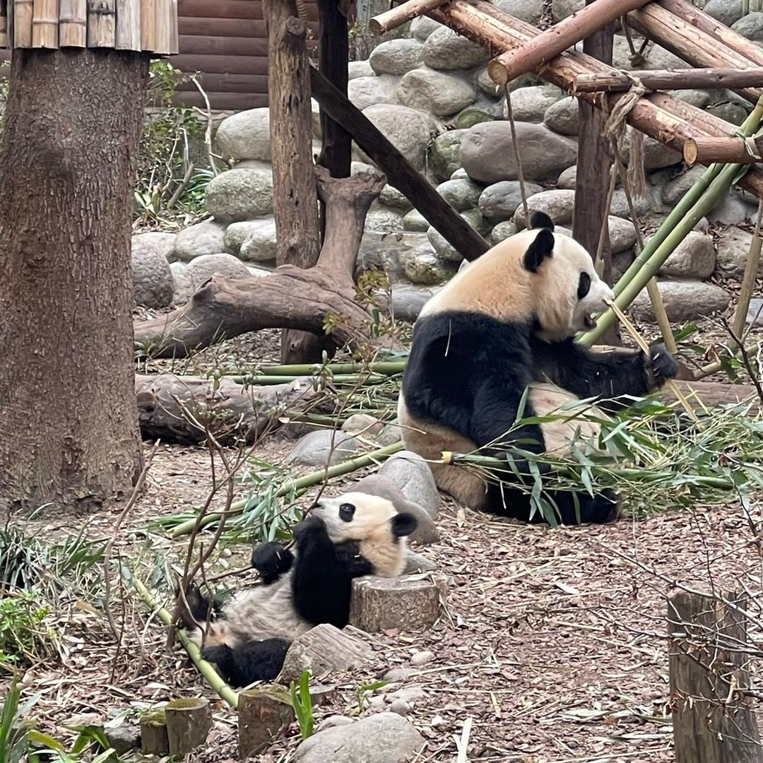 公子哥