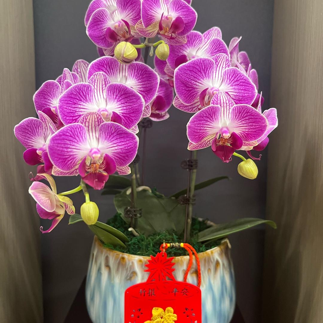 萍水相逢