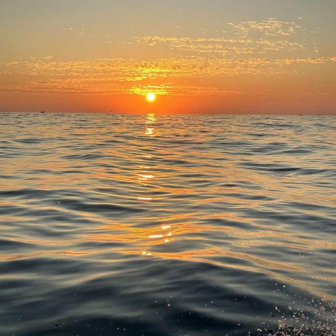 一条🐟