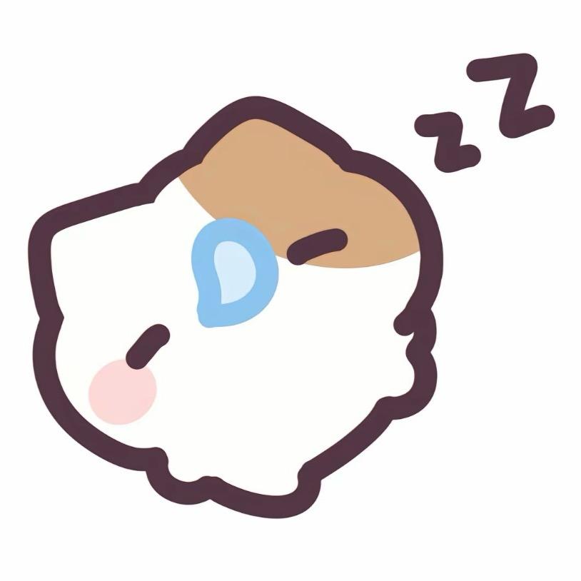 我在睡觉💤