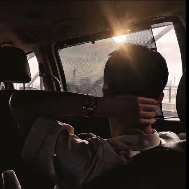 羊儿.