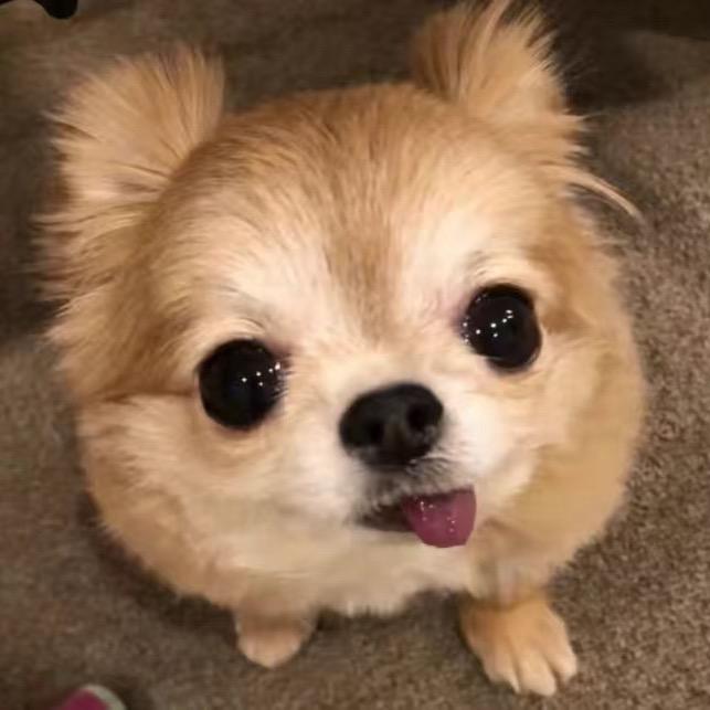 小渴